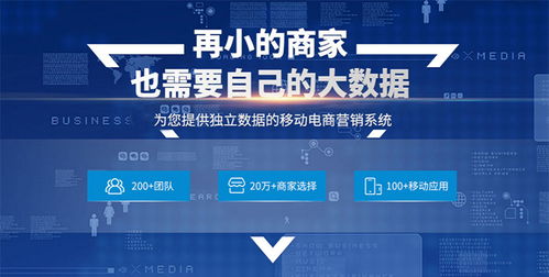 移动社交电商 重新定义互联网经济新模式的咨询与服务价值